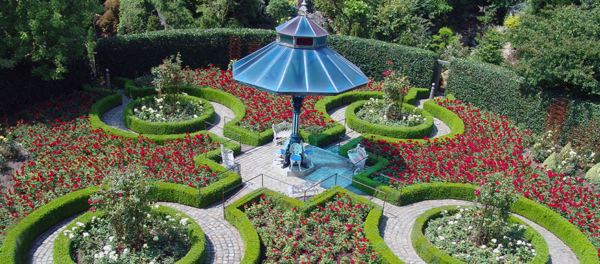 Canada-Poland-Garden
